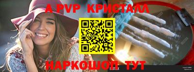 мет Кингисепп