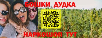 мет Кингисепп