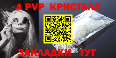 мет Кингисепп